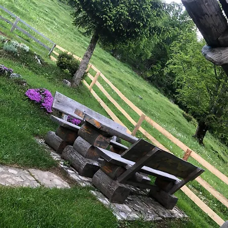 Vakantieboerderij Mountain Lodge Suska Koca *