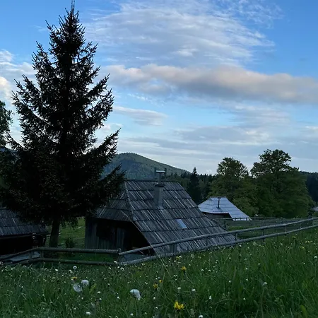 Mountain Lodge Suska Koca * Stahovica