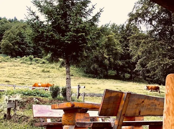 Mountain Suska Koca *